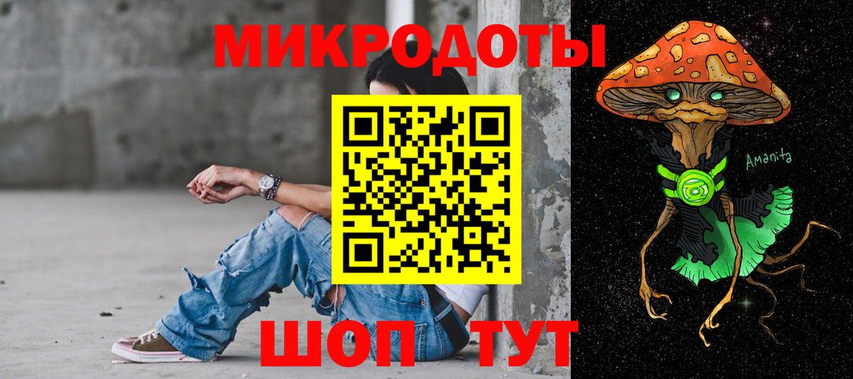 Галлюциногенные грибы Cubensis Кинель